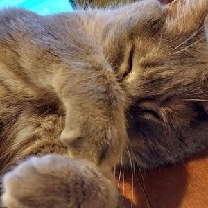 Meet your Posher, Cathy